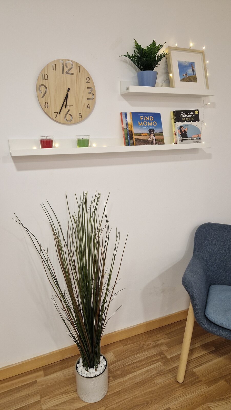 Detalle de pared y plantas